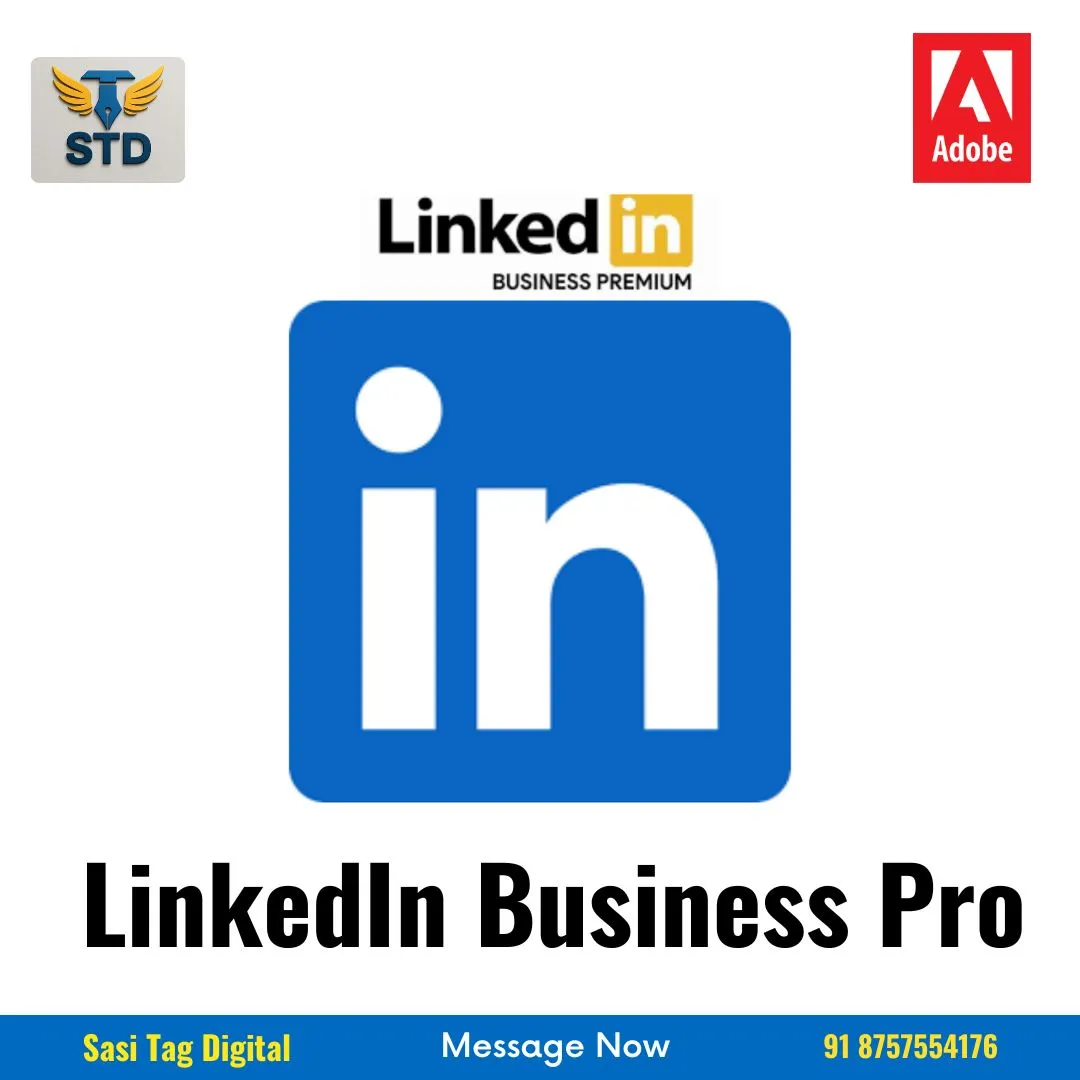 LinkedIn Business Pro